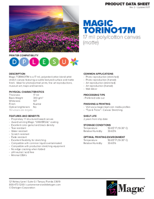 Download For Magic Brand TORINO 17M Canvas Print Media